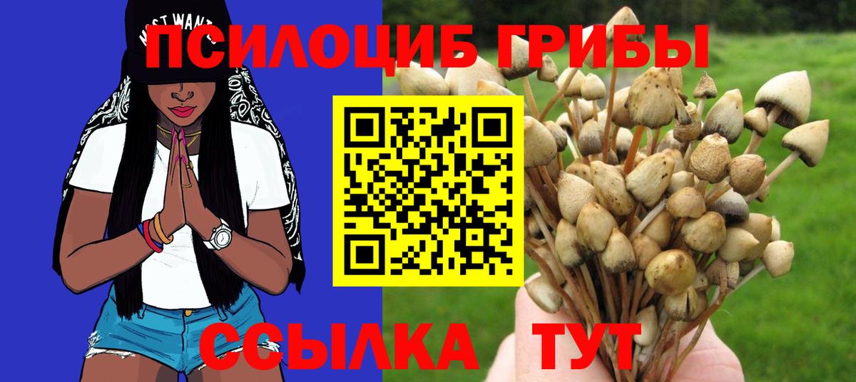 Псилоцибиновые грибы Psilocybe  Вход с VPN  Псилоцибиновые грибы мухоморы  Симферополь 